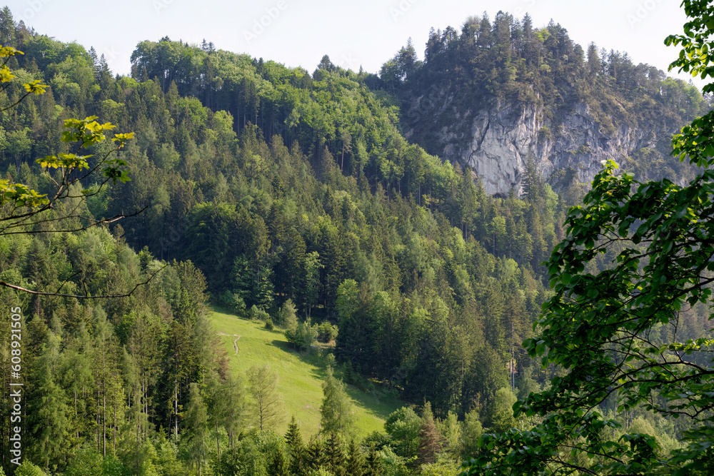 Picturesque forested Kaisertal in Tyrolean Alps, Austria. Great hiking trails. Tourism and travel in