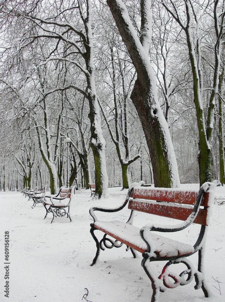 Red benches in a park covered with snow