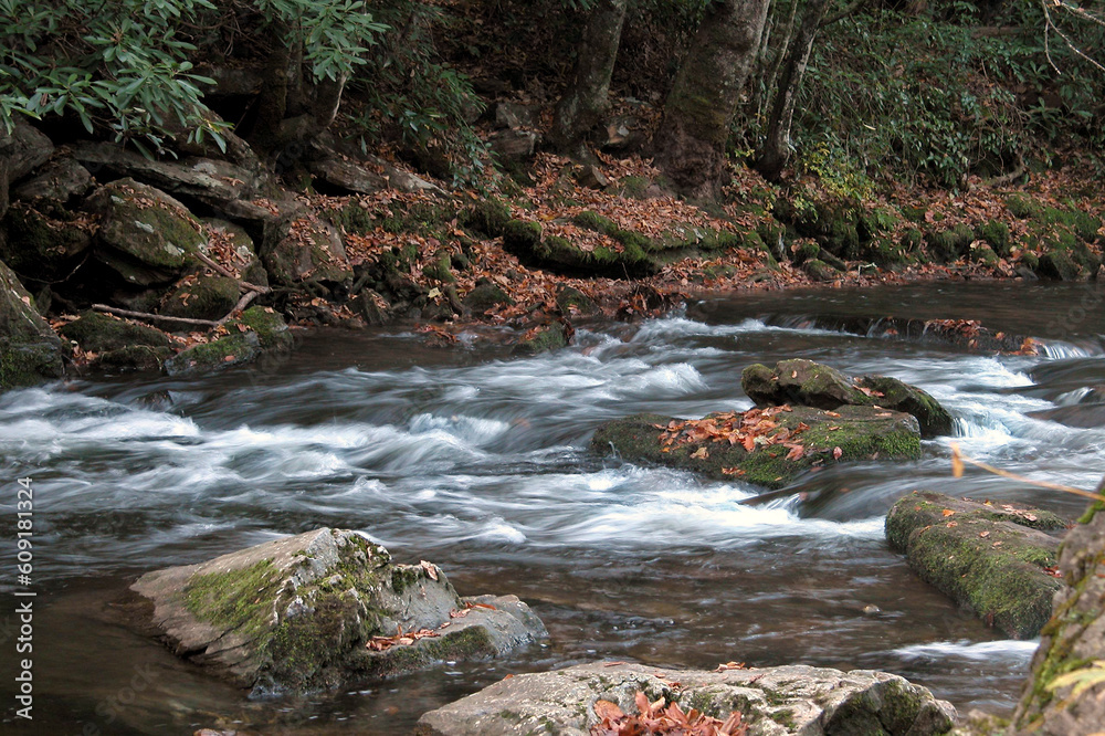 Davidson River, Brevard, NC