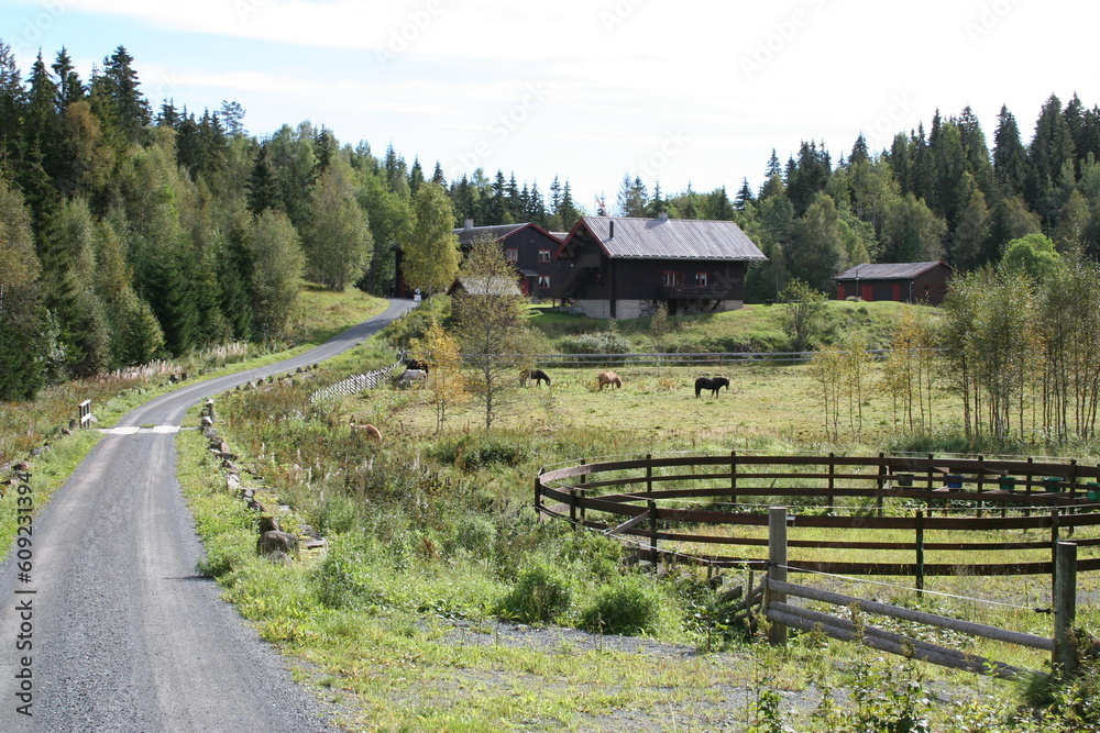 A farm in a remote landscape