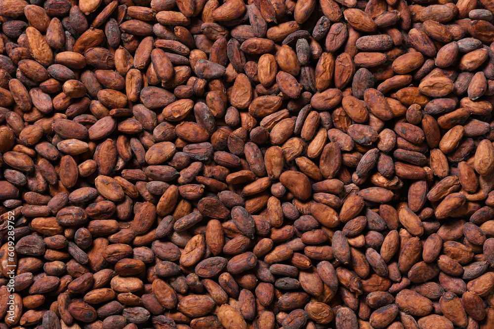 Dried Cocoa beans texture background.