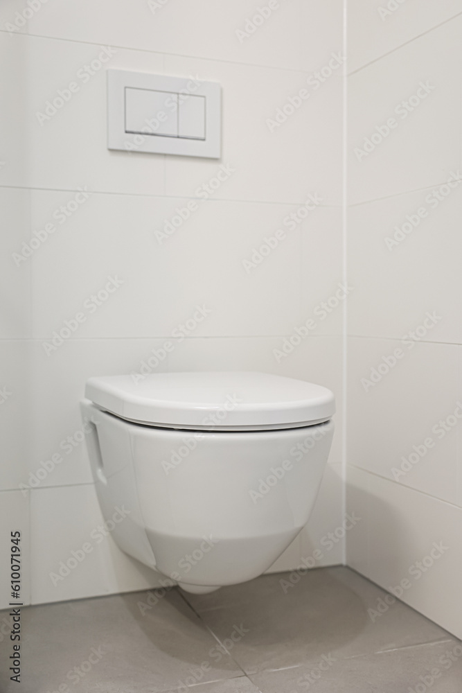 White toilet bowl near light wall in room