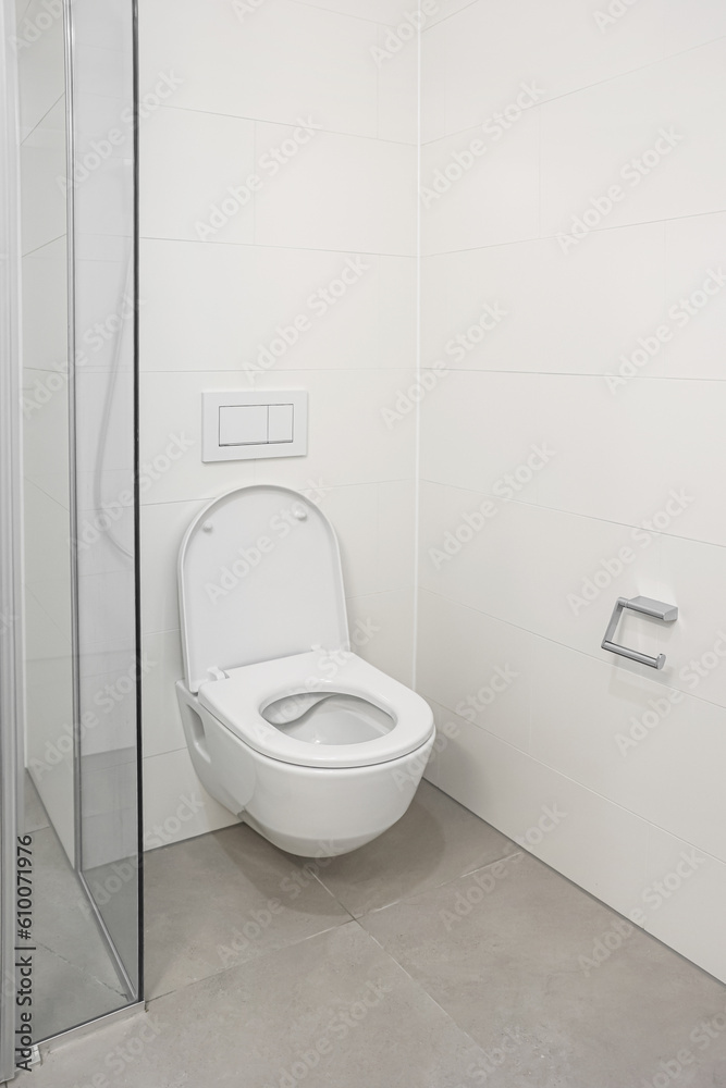 White toilet bowl near light wall in room