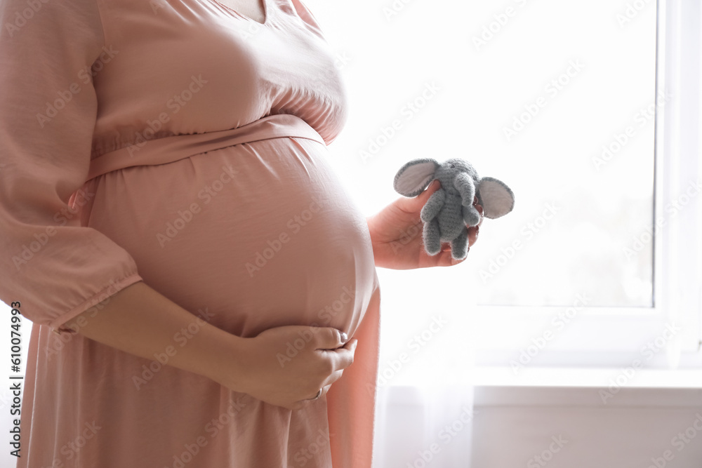 Young pregnant woman with toy elephant near window at home, closeup