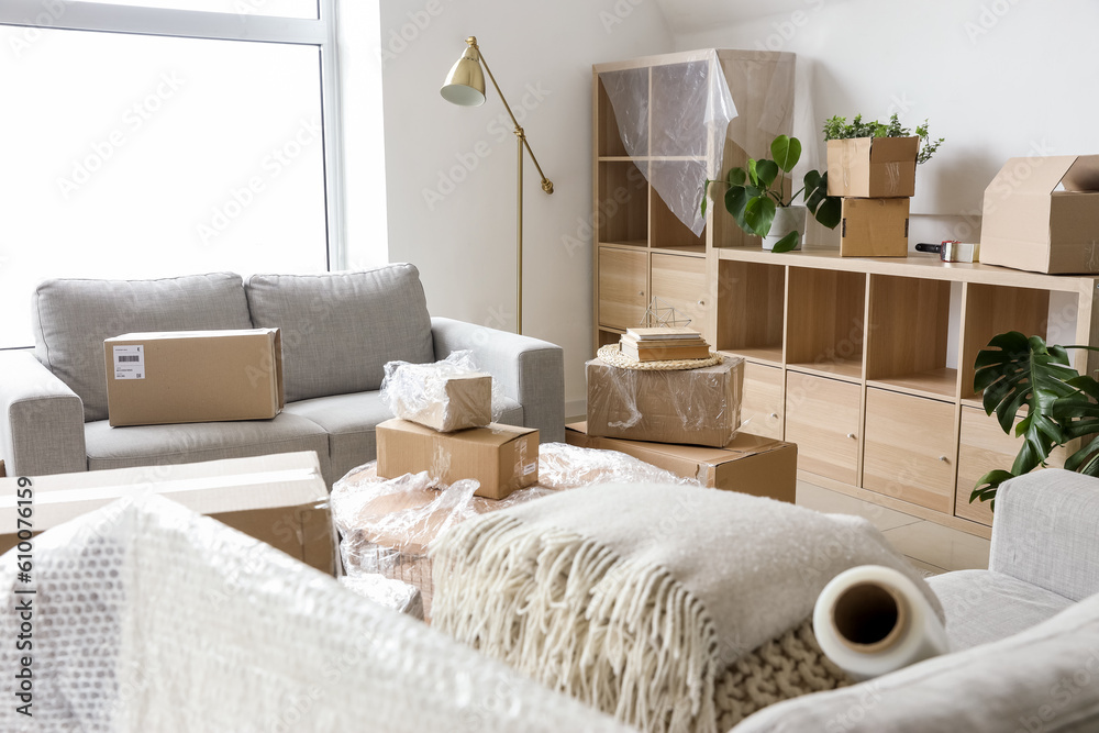 Cardboard boxes with sofas and shelving unit in living room on moving day