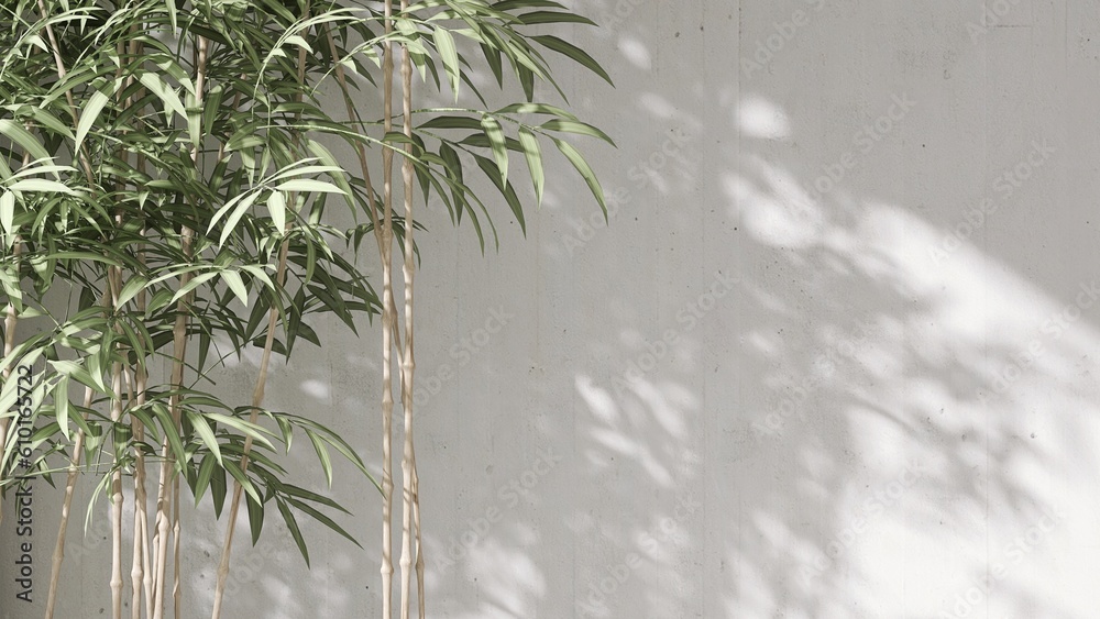 Modern, minimal blank white concrete wall with green bamboo tree in sunlight, leaf foliage shadow fo