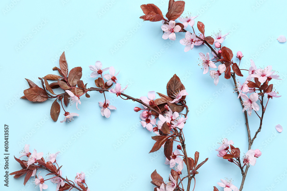 Blooming tree branches with pink flowers on blue background