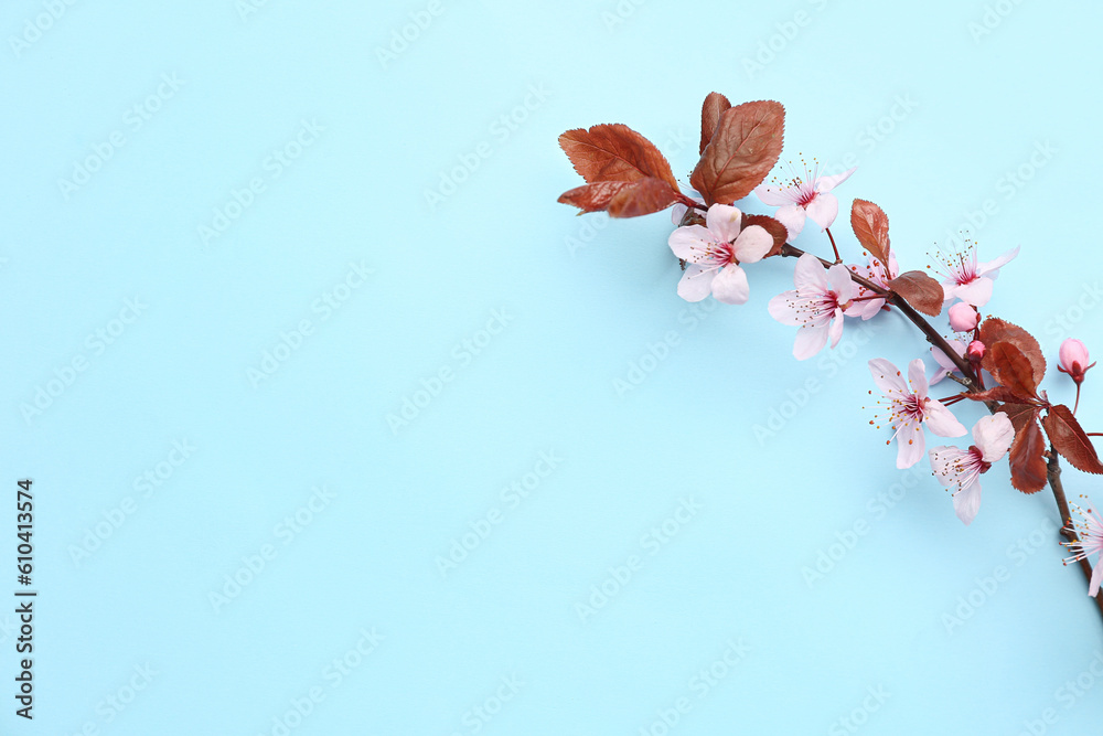 Blooming tree branch with pink flowers on blue background