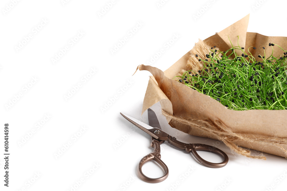 Fresh micro green and scissors on white background, closeup