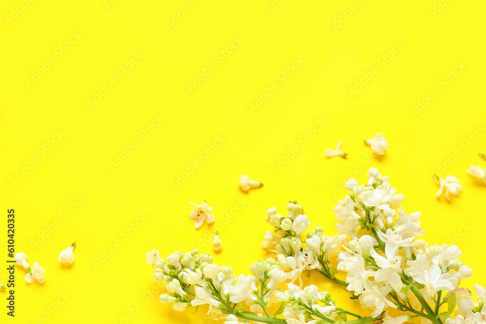 White lilac twigs on yellow background