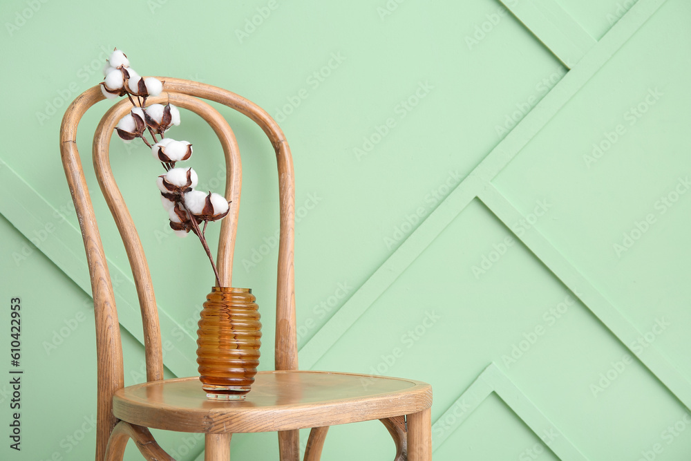 Cotton sprig in vase on wooden chair near green wall