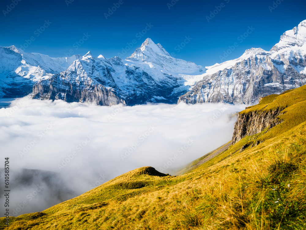 Mountain scenery in the summertime. A place for mountain hiking with a beautiful view. Mountains and