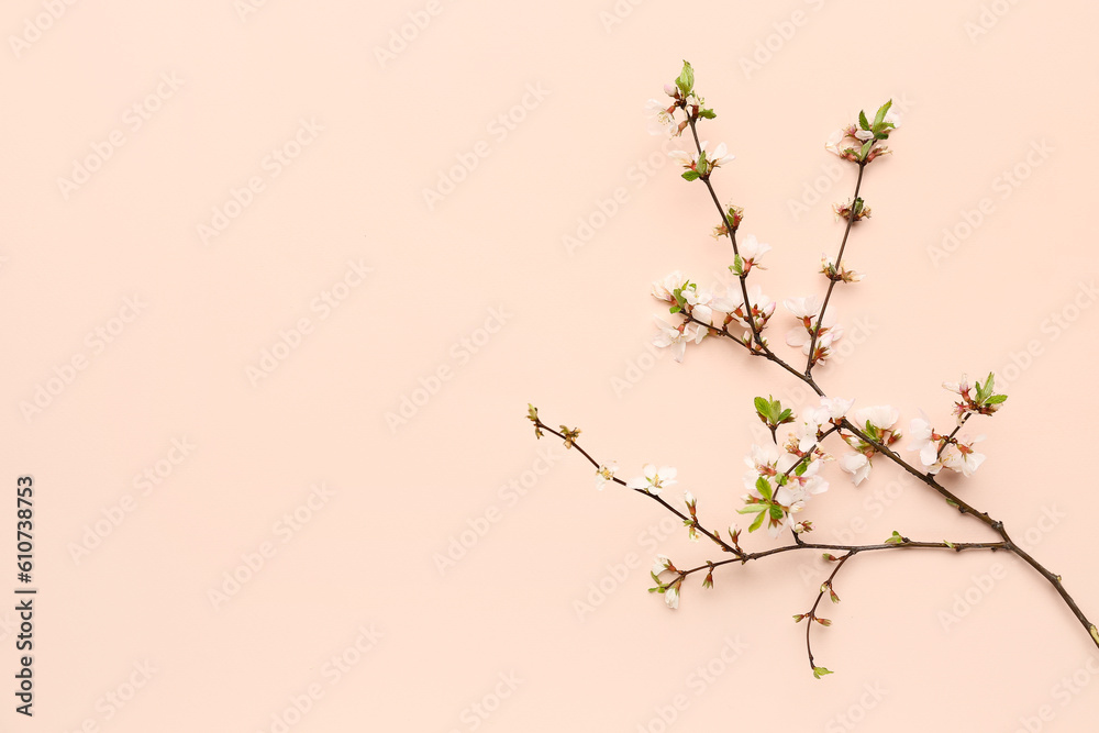 Blooming tree branch with white flowers on beige background