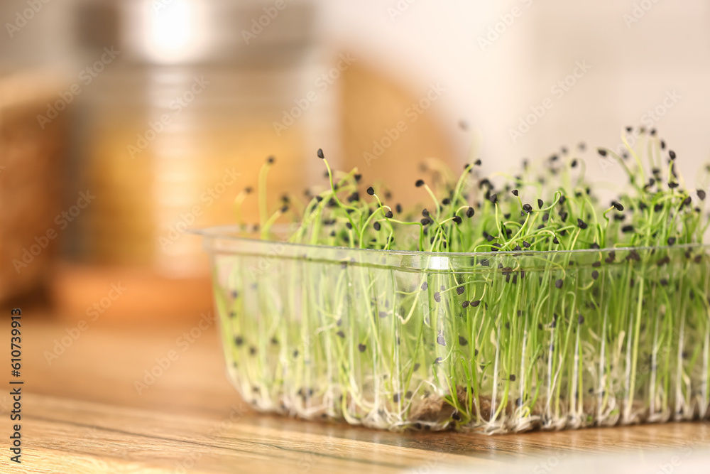 Plastic container with fresh micro green on table in kitchen