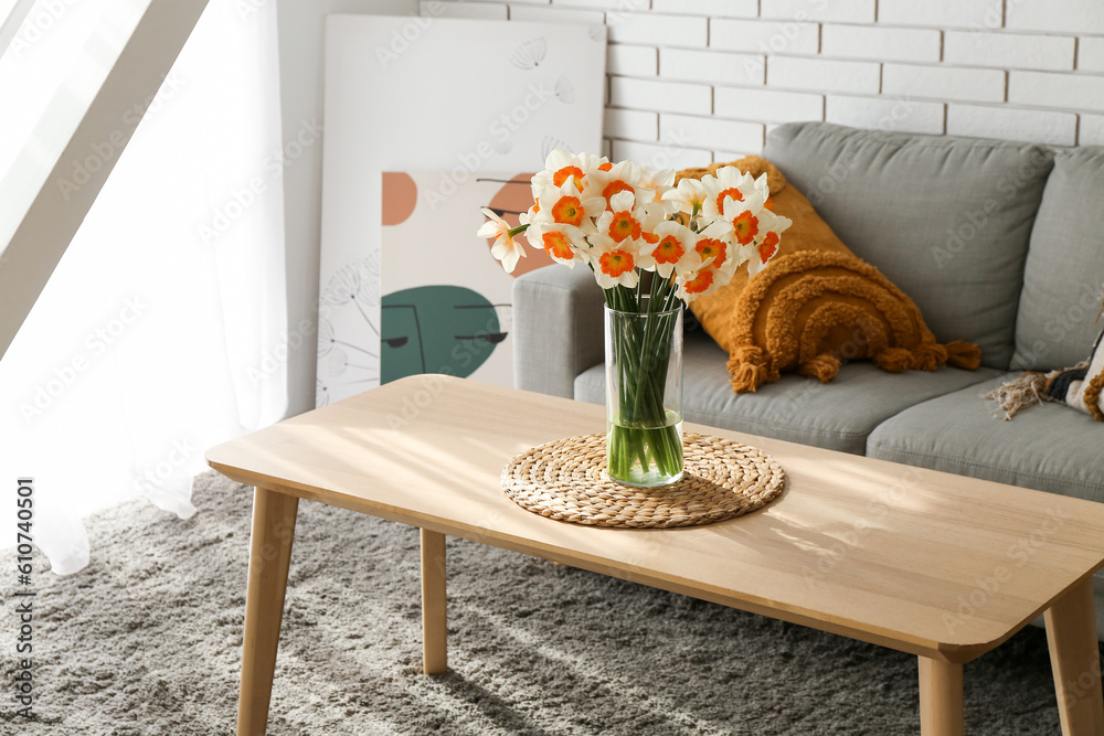 Interior of light living room with cozy grey sofa and blooming narcissus flowers on table