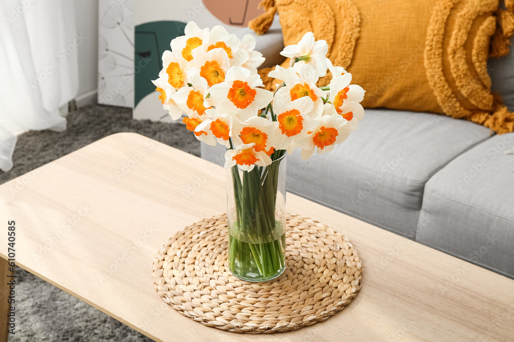 Vase with blooming narcissus flowers on table in light living room