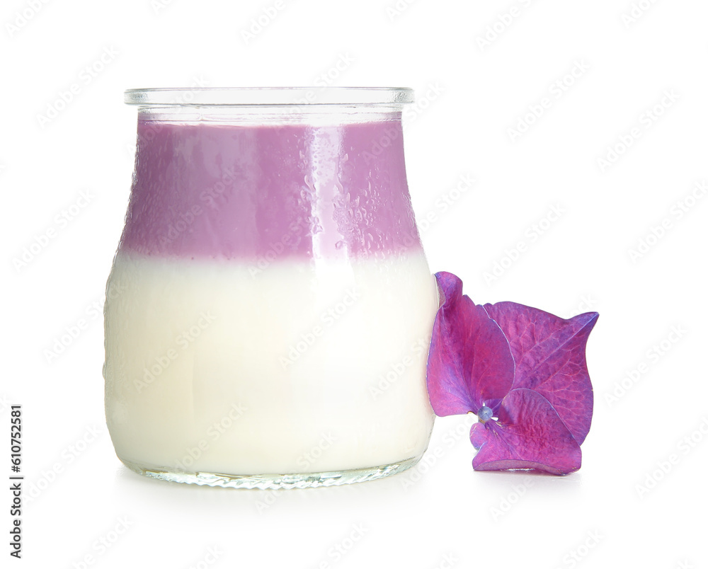 Glass of panna cotta with beautiful hydrangea flower on white background