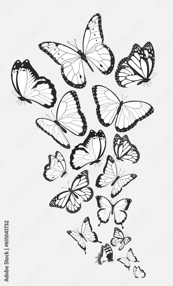 Composition of group black and white butterflies flying in a flock.