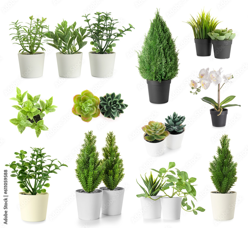 Set of artificial plants on white background