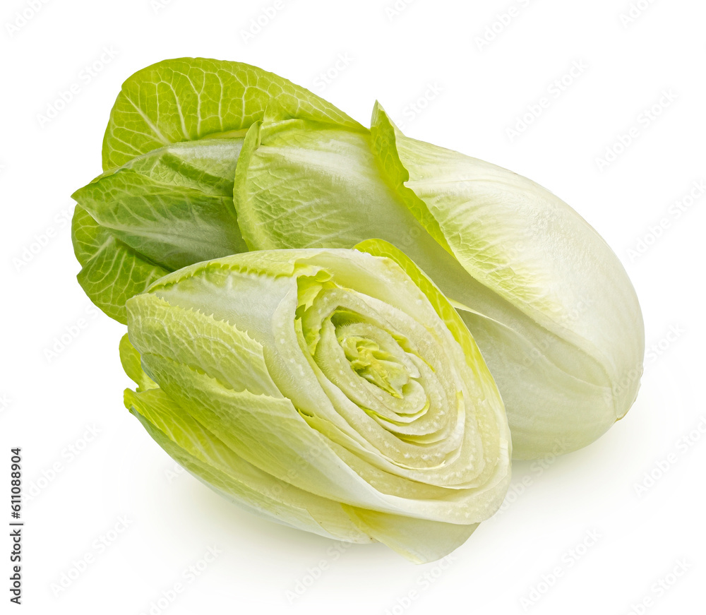 Fresh endive, green chicory salad isolated on white background