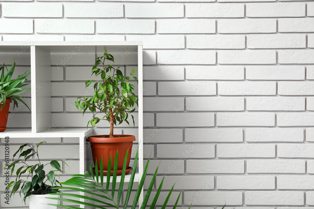 Shelving unit with potted houseplants near white brick wall