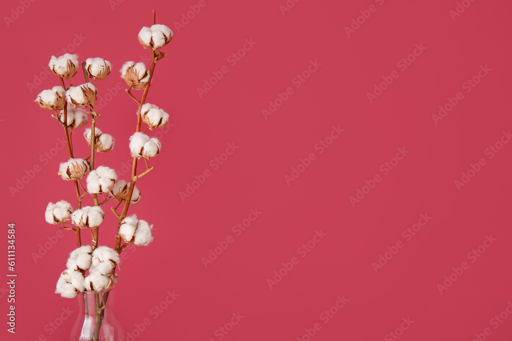 Vase of cotton sprigs on red background