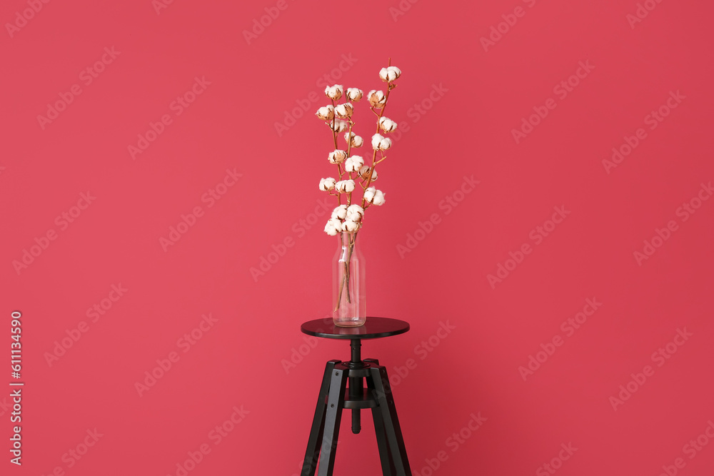 Vase of cotton sprigs on small coffee table near red wall