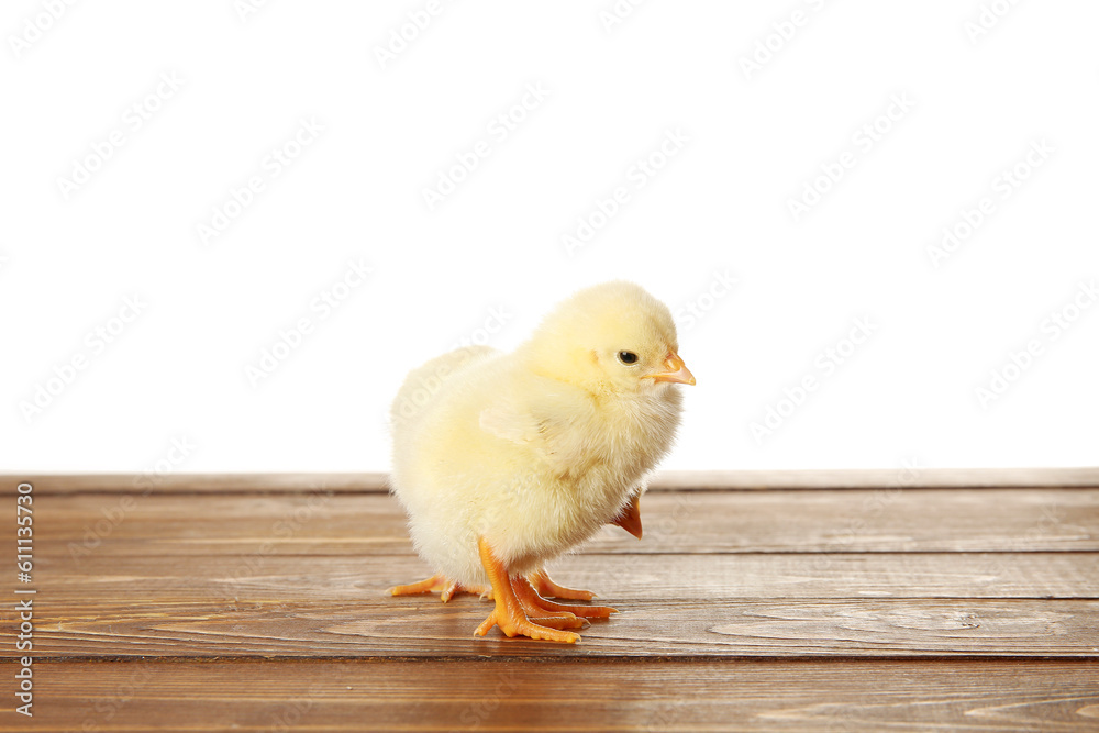 Cute little chicks on wooden table against white background