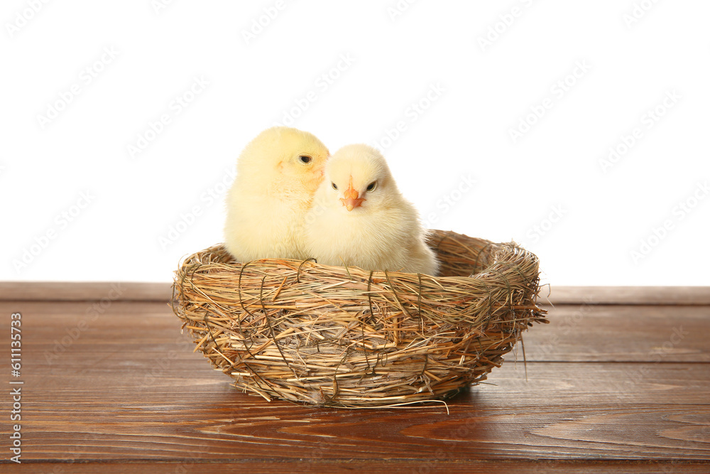 Nest with cute little chicks on wooden table against white background