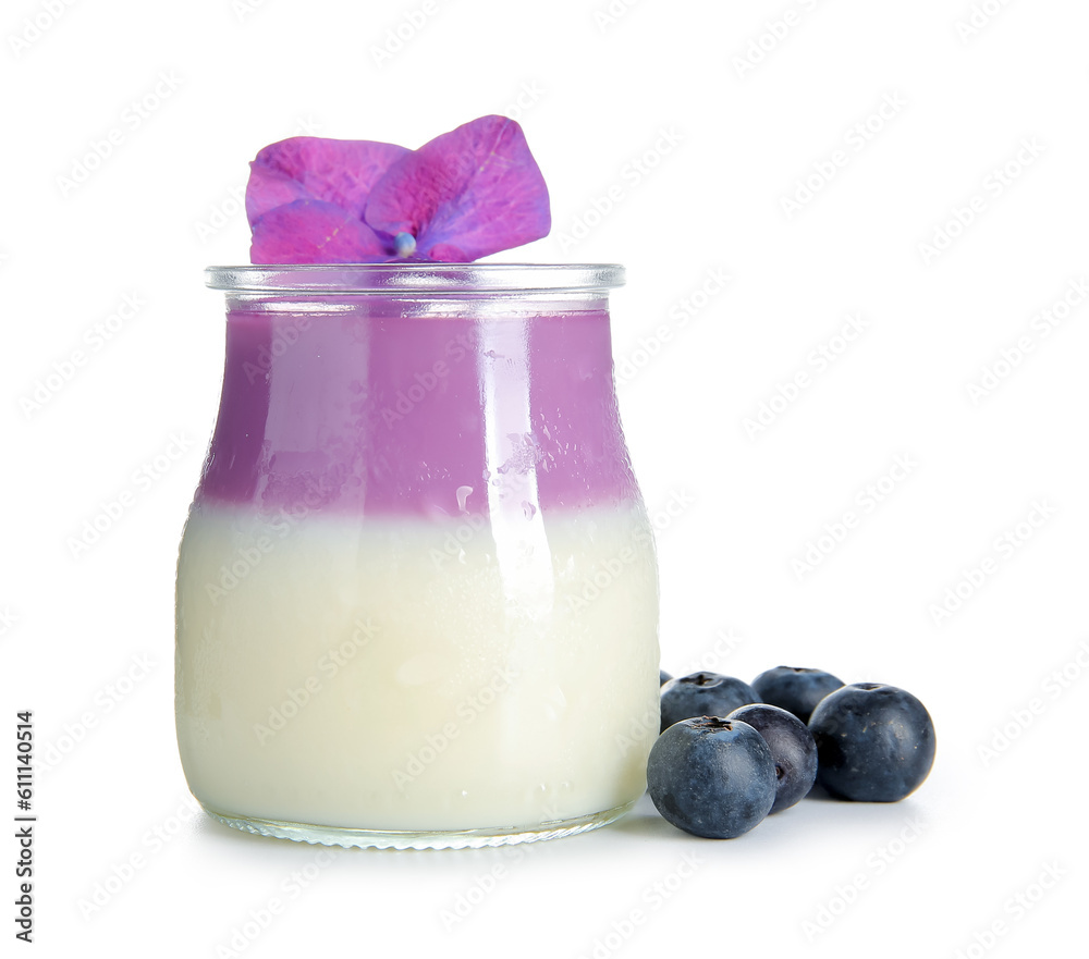 Glass of panna cotta with beautiful hydrangea flower and blueberry on white background