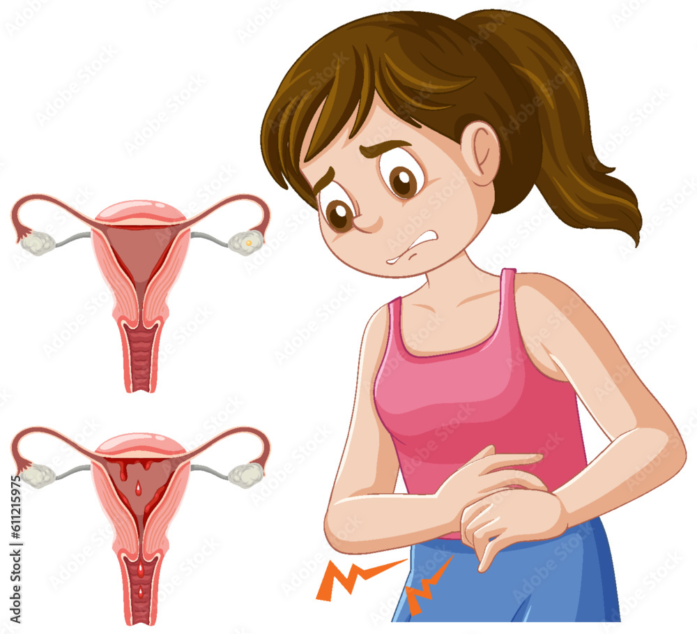 Infographic of stages of the menstrual cycle