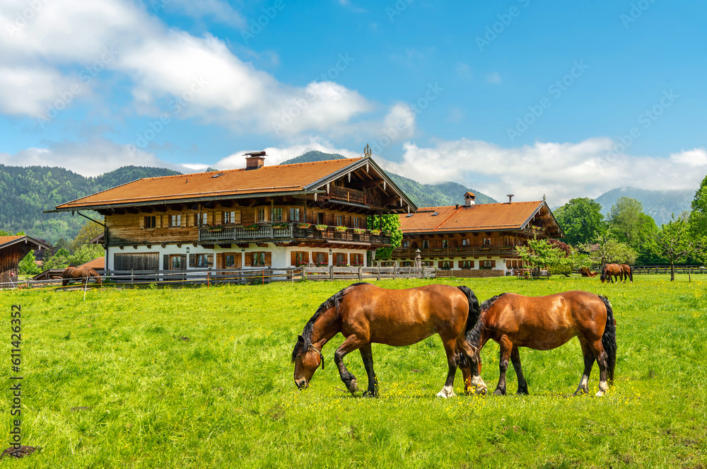 Bavarian village. Traditional Bavarian wooden house, meadow and grazing horses