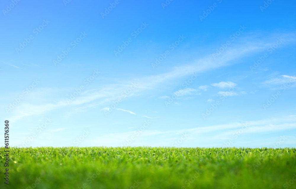 Landscape view of green short grass field with blue sky and clouds background.