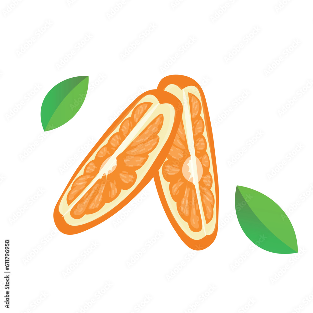 Slices of orange on white background