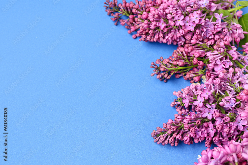 Lilac twigs on blue background