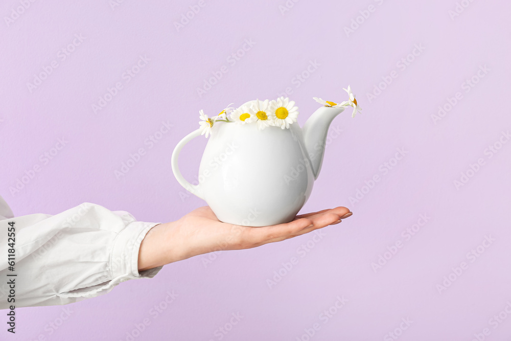 Female hand with teapot of chamomile tea and flowers near lilac wall