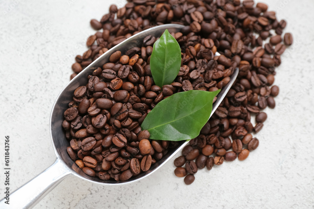 Scoop with coffee beans on light background