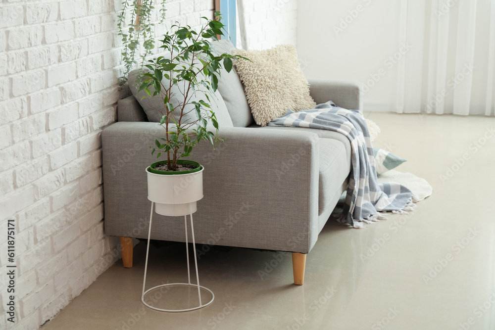 Interior of living room with surfboard and sofa