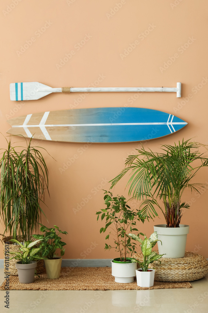 Houseplants and surfboard with paddle hanging on beige wall in room