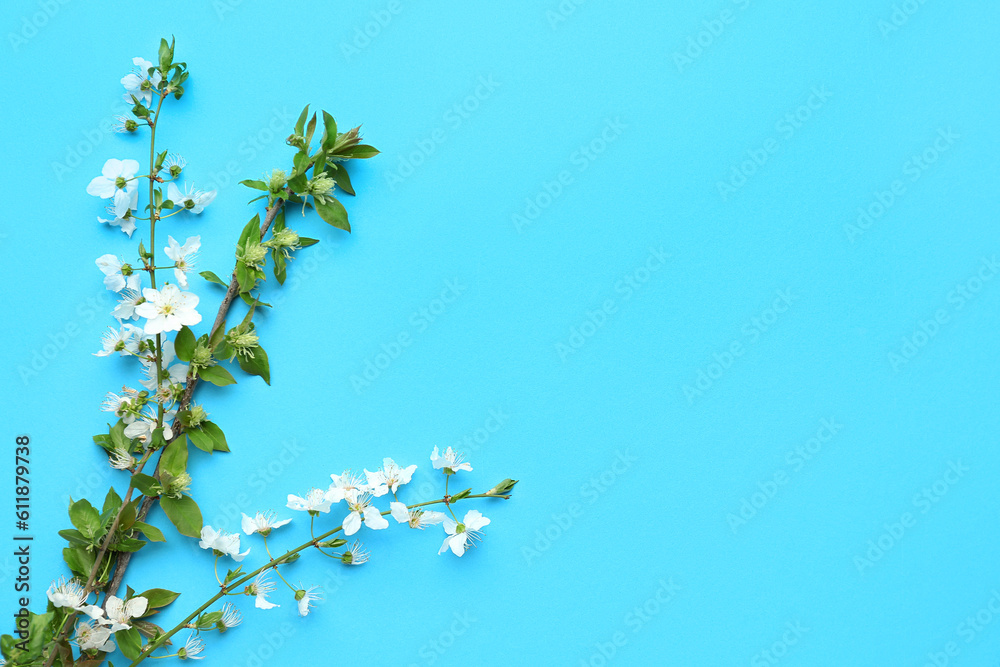 Blooming tree branches with white flowers on blue background