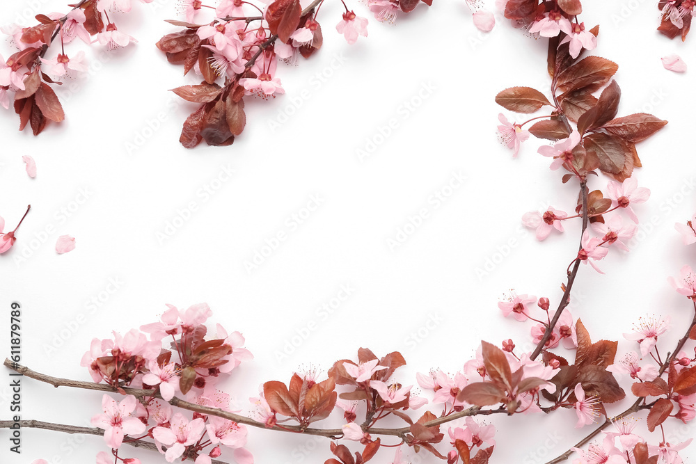 Frame made of blooming branches with pink flowers on white background