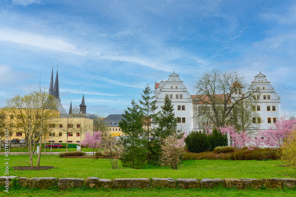 View of city street with blossoming trees and houses on cloudy day