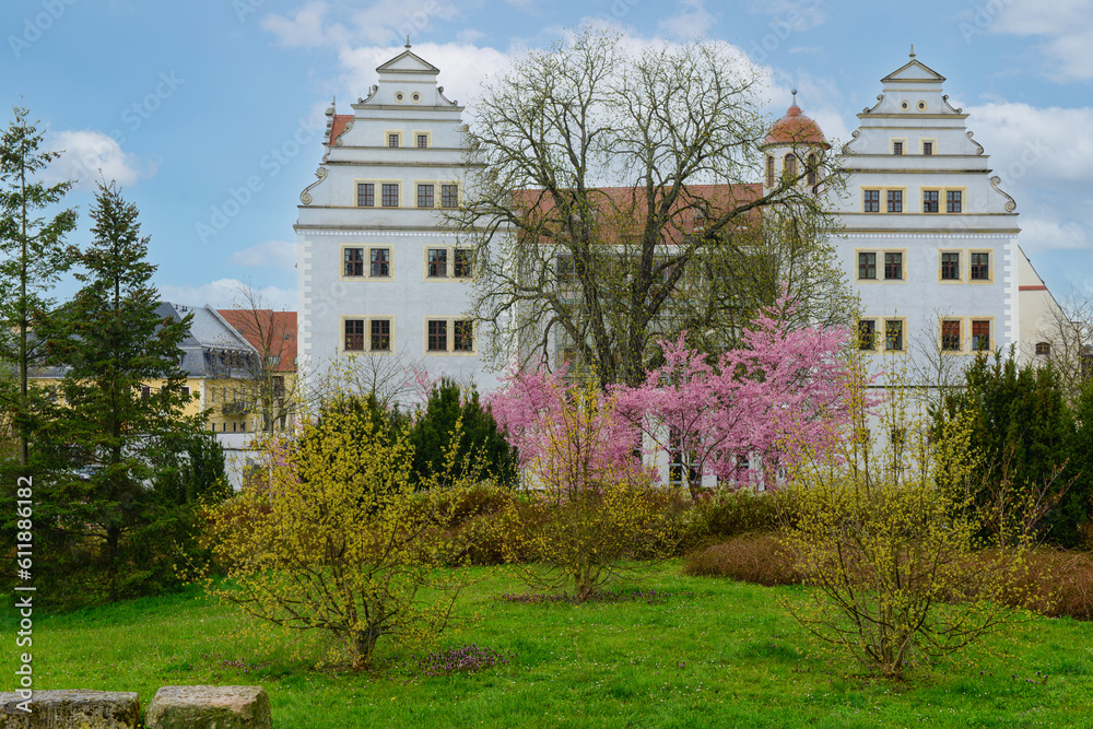 View of city street with blossoming trees and houses on cloudy day