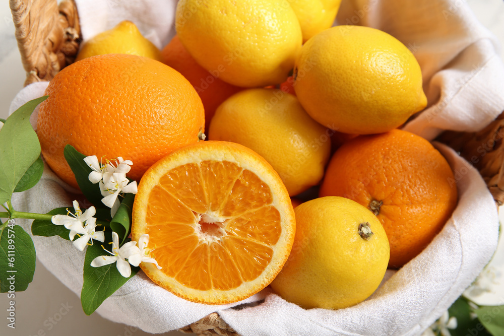 Basket of oranges and lemons with blooming branch on white table