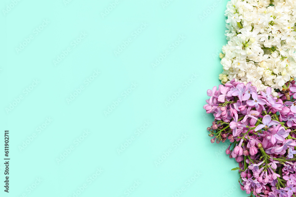 Lilac twigs on turquoise background