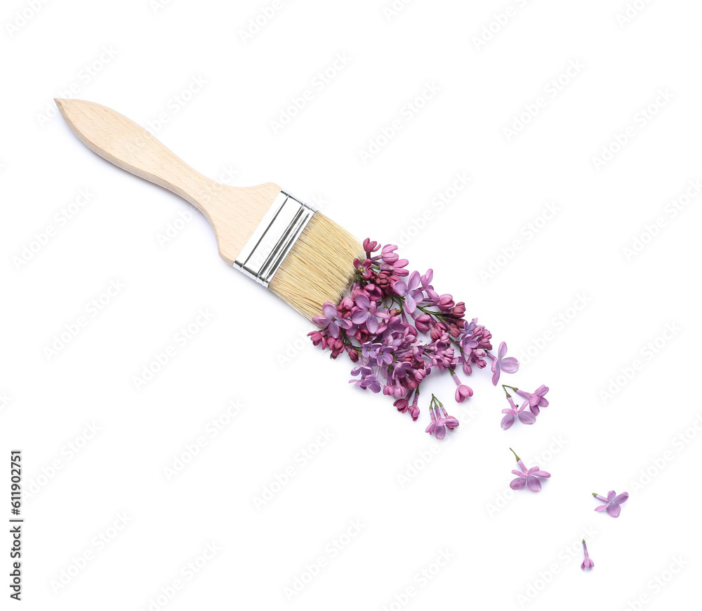 Paintbrush and lilac flowers on white background