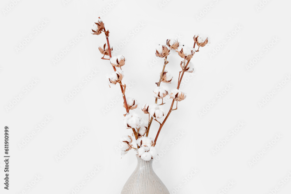 Vase of cotton sprigs on white background