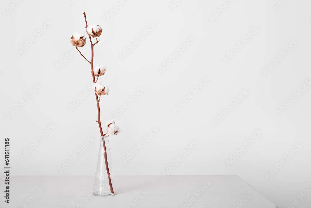 Cotton sprig in glass vase on table near white wall