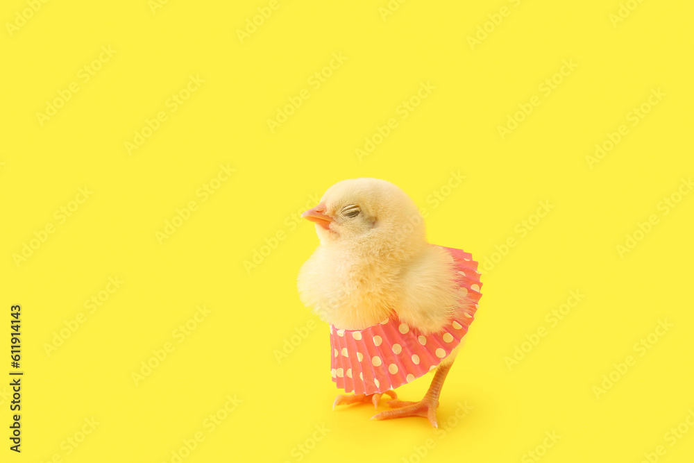 Cute little chick with skirt on yellow background