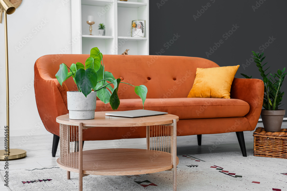 Coffee table with houseplant and modern laptop near brown sofa in living room